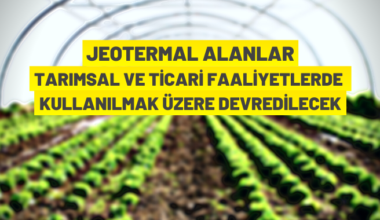 Jeotermal kaynak arama ruhsat sahalarının devir ihalesi