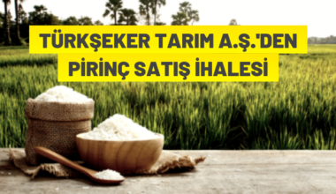 TÜRKŞEKER A.Ş.’den pirinç satışı