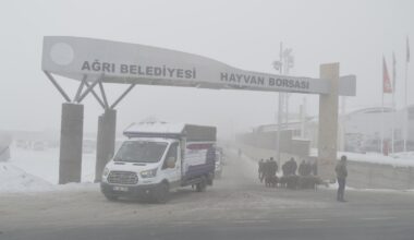 Ağrı’da soğuk hava ve sis etkili oluyor