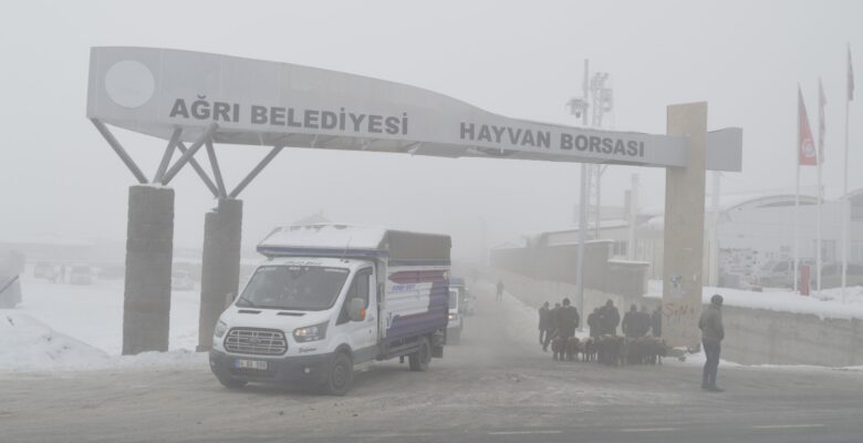 Ağrı’da soğuk hava ve sis etkili oluyor
