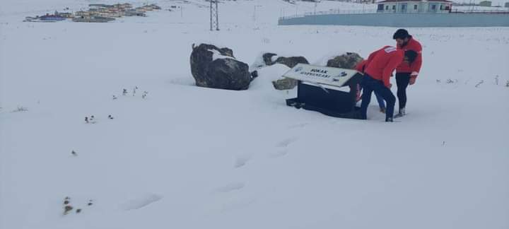 Diyadin’de Kızılay Gönüllüleri, Sokak Hayvanlarını Unutmadı