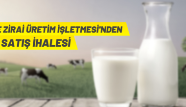 Süt satış ihalesi