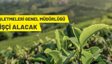 ÇAYKUR işçi alımı yapacak