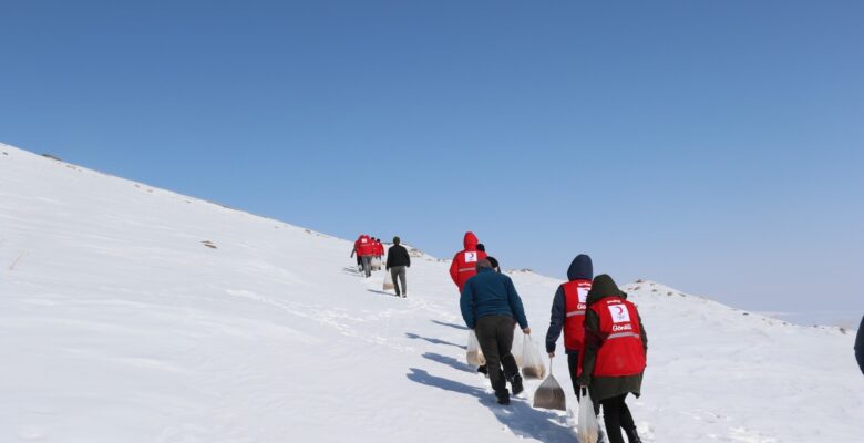 Ağrı’da yaban hayvanları için doğaya yem bırakıldı