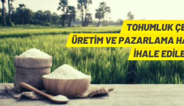 Tohumluk çeşidinin üretim ve pazarlama hakkı satılacak