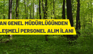 Orman Genel Müdürlüğü 1.833 Sözleşmeli Personel Alacak