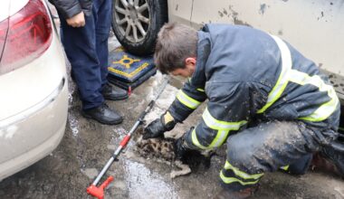 Otomobilin motor kısmına sıkışan kediyi itfaiye kurtardı