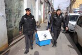 Ağrı’da polis sokak hayvanları için cadde ve sokaklara barınak bıraktı