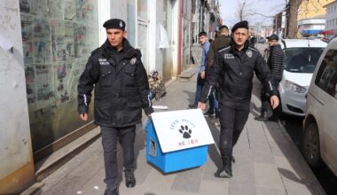 Ağrı’da polis sokak hayvanları için cadde ve sokaklara barınak bıraktı