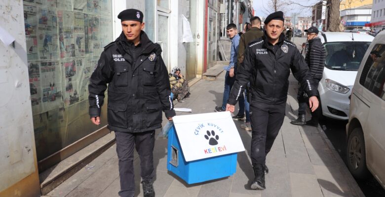 Ağrı’da polis sokak hayvanları için cadde ve sokaklara barınak bıraktı