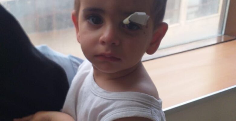 Köpeklerin saldırısına uğrayan minik Asaf hayatını kaybetti