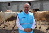 Müftü Büyük: “Alacağımız kurbanların sağlıklı olması gerekiyor”