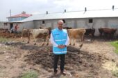 TDV, Ağrı’da Kurban Bayramı hazırlıklarını sürdürüyor