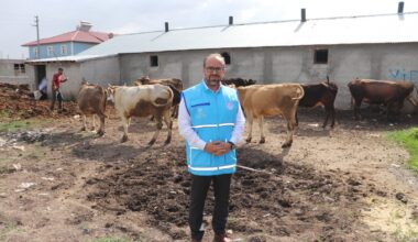 TDV, Ağrı’da Kurban Bayramı hazırlıklarını sürdürüyor