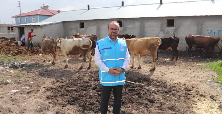 TDV, Ağrı’da Kurban Bayramı hazırlıklarını sürdürüyor