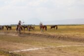 Ağrı’da Mahalli At Yarışları ve At Şenliği renkli görüntülere sahne oldu