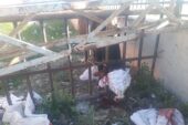Başı demir korkuluklara sıkışan inek kurtarıldı