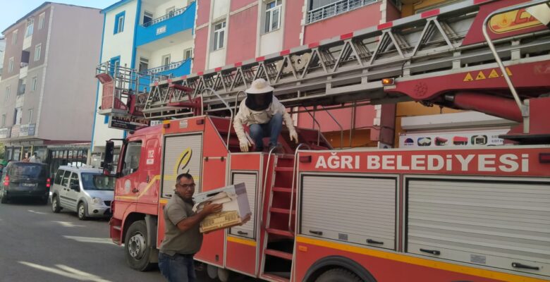 Çatıya kümelenen arıları itfaiye indirdi