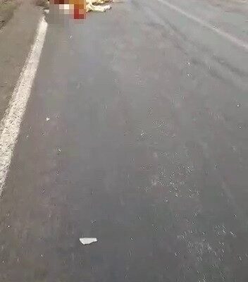 Tır, yoldan geçen büyükbaş hayvan sürüsüne daldı