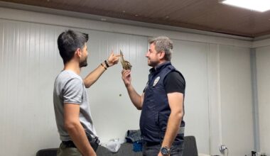Ağrı’da ‘Balaban kuşu’ görüldü
