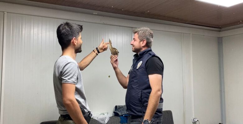 Ağrı’da ‘Balaban kuşu’ görüldü