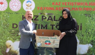 Ağrı’da 100 çiftçiye 5 bin kaz palazı dağıtıldı