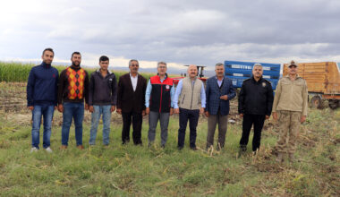 Ağrı’da devlet desteğiyle mısır yetiştiriciliği yaygınlaşıyor