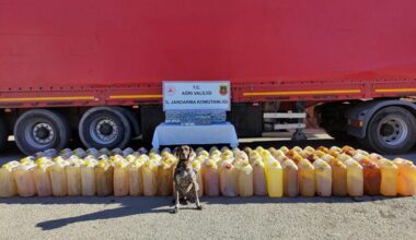 Ağrı’da 1100 paket kaçak sigara ele geçirildi