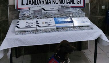 Ağrı’da kaçak sigara taşıyan 5 tır ve bir otobüse el konuldu