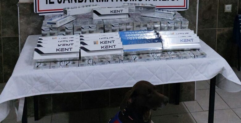 Ağrı’da kaçak sigara taşıyan 5 tır ve bir otobüse el konuldu