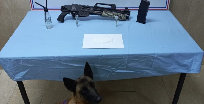 Ağrı’da 15 kilo esrar ele geçirildi