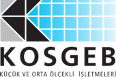 KOSGEB 13 Sözleşmeli Bilişim Personeli Alacak