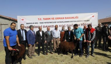 Ağrı’da yüzde 50 Hibeli Damızlık Koç Dağıtım Töreni Gerçekleşti