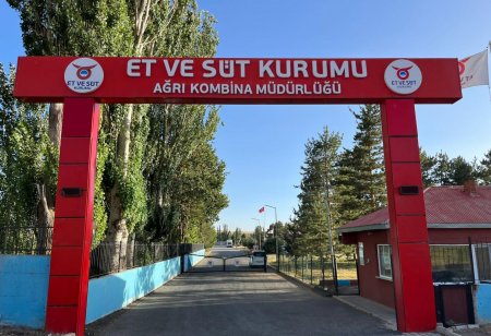 Ağrı Et Kombina Müdürlüğü şoförlü servis hizmet alımı yapacak