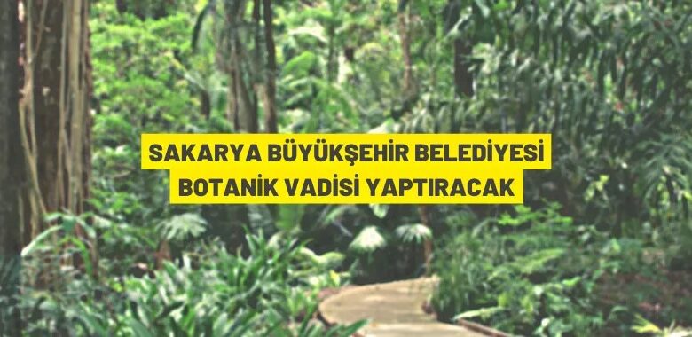 Sakarya’da botanik vadisi yaptırılacak