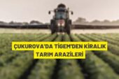 TİGEM’den kiralık tarım arazileri