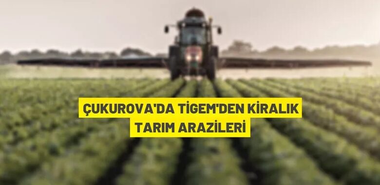 TİGEM’den kiralık tarım arazileri