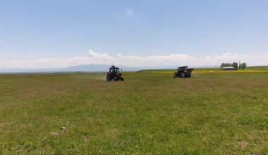 Ağrı’da Yasaklı Mera Ve Yayla Kalmadı