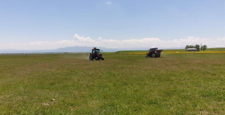 Ağrı’da Yasaklı Mera Ve Yayla Kalmadı