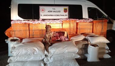 Ağrı’da gümrük kaçağı yonca tohumu ve çay ele geçirildi
