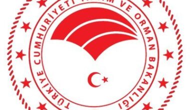 Şeker pancar hasat makinesi, silaj paketleme ünitesi ve mobil koyun banyoluk ünitesi alınacak