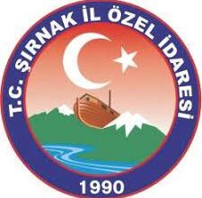 Şırnak İl Özel İdaresi aydınlatma hattı bakım onarım işi yaptıracak