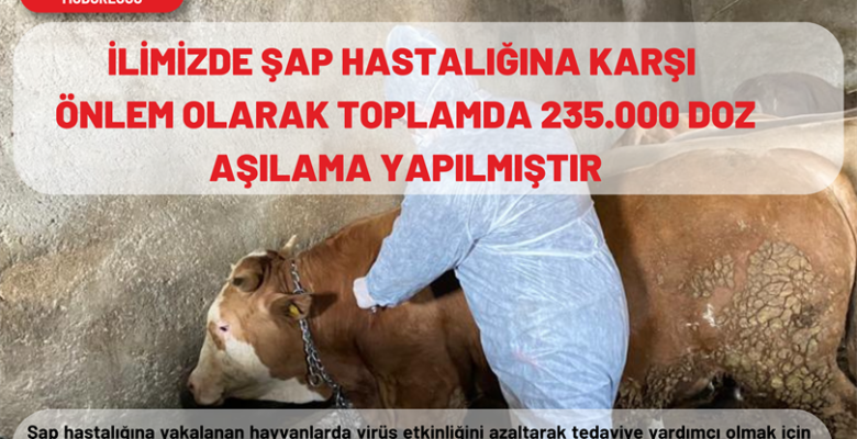 Ağrı’da 235 bin hayvan aşılandı