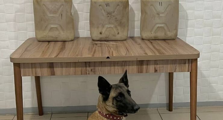 Ağrı’da karpuzların arasında uyuşturucu taşıyan şahıslar yakalandı