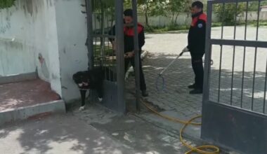 Ağrı’da demir kapıya sıkışan köpeği itfaiye  kurtardı