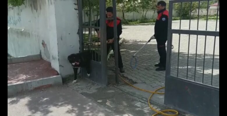 Ağrı’da demir kapıya sıkışan köpeği itfaiye  kurtardı