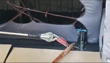 Arabaya giren yılanı itfaiye ekipleri çıkardı