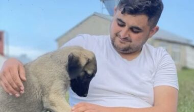 Ağrı’da kaza kurşunu ile yaralanan genç hayatını kaybetti