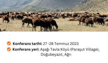 V. Uluslararası Büyük Tufanının Ağrı Dağı’ndaki Arkeolojik İzleri Konferansı  Düzenlenecek