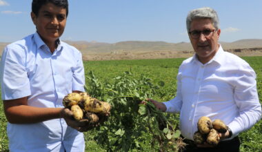 Ağrı’da devlet desteğiyle patates eken çiftçiler yüksek verim bekliyor